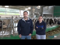 Mejor conciliación familiar con los robots en tráfico libre