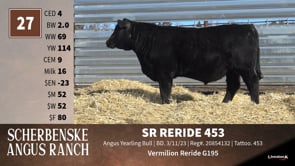 Lot #27 - SR RERIDE 453