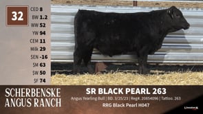 Lot #32 - SR BLACK PEARL 263