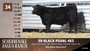 Lot #34 - SR BLACK PEARL 483