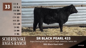 Lot #33 - SR BLACK PEARL 433