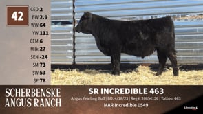 Lot #42 - SR INCREDIBLE 463