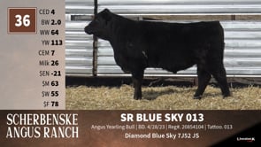 Lot #36 - *** OUT *** SR BLUE SKY 013