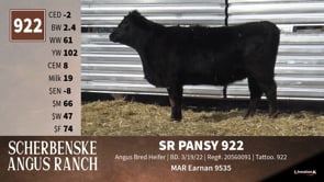 Lot #922 - SR PANSY 922