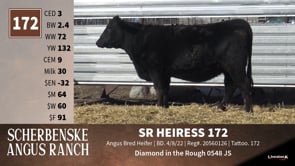 Lot #172 - SR HEIRESS 172