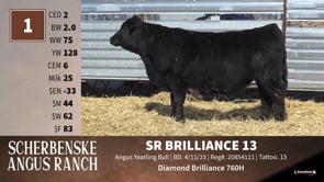 Lot #1 - SR BRILLIANCE 13