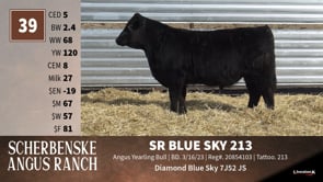 Lot #39 - SR BLUE SKY 213