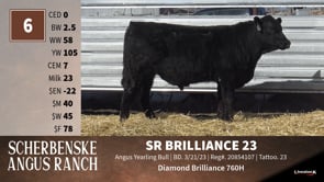 Lot #6 - SR BRILLIANCE 23