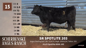 Lot #15 - SR SPOTLITE 203