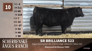 Lot #10 - SR BRILLIANCE 523