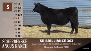 Lot #5 - SR BRILLIANCE 363