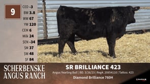 Lot #9 - SR BRILLIANCE 423