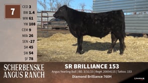 Lot #7 - SR BRILLIANCE 153