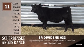 Lot #11 - SR DIVIDEND 033