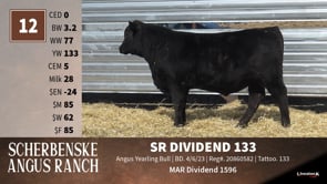 Lot #12 - SR DIVIDEND 133