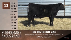 Lot #13 - SR DIVIDEND 223