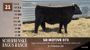 Lot #21 - *** OUT *** SR MOTIVE 073