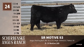 Lot #24 - SR MOTIVE 93