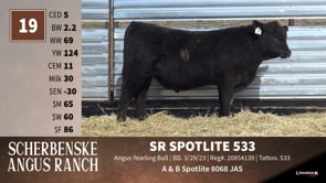 Lot #19 - SR SPOTLITE 533