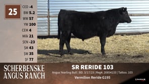 Lot #25 - SR RERIDE 103