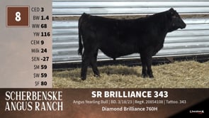 Lot #8 - SR BRILLIANCE 343