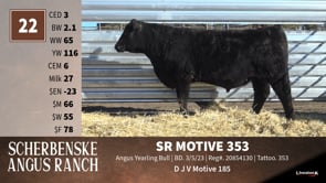 Lot #22 - SR MOTIVE 353