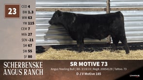 Lot #23 - SR MOTIVE 73