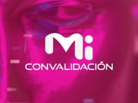 Despejando Dudas: Cómo Reconocer una Resolución de Reposición Positiva en tu Proceso de Convalidación | MiConvalidación