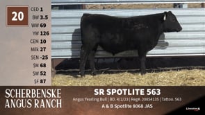 Lot #20 - SR SPOTLITE 563