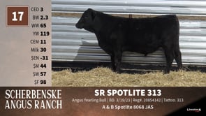 Lot #17 - SR SPOTLITE 313