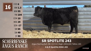 Lot #16 - SR SPOTLITE 243