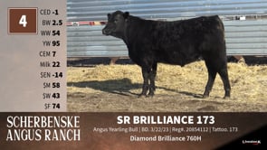 Lot #4 - SR BRILLIANCE 173