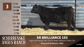 Lot #3 - SR BRILLIANCE 193