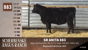 Lot #883 - SR ANITA 883