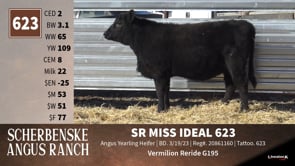 Lot #623 - SR MISS IDEAL 623