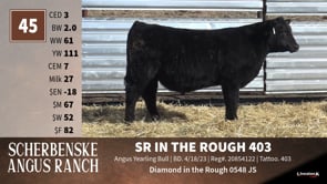 Lot #45 - *** OUT *** SR IN THE ROUGH 403