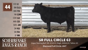 Lot #44 - SR FULL CIRCLE