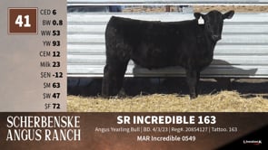 Lot #41 - SR INCREDIBLE 163