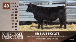 Lot #40 - SR BLUE SKY 273