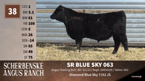 Lot #38 - SR BLUE SKY 063