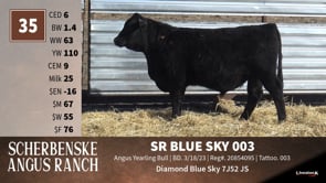 Lot #35 - SR BLUE SKY 003