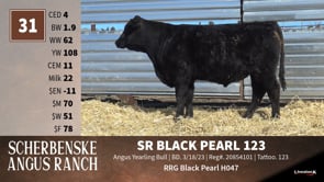 Lot #31 - SR BLACK PEARL 123