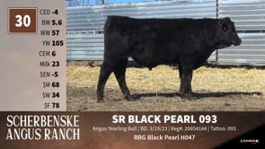 Lot #30 - SR BLACK PEARL 093