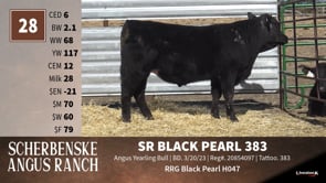 Lot #28 - SR BLACK PEARL 383