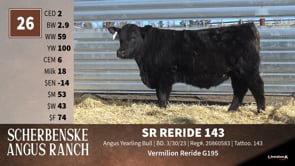 Lot #26 - SR RERIDE 143