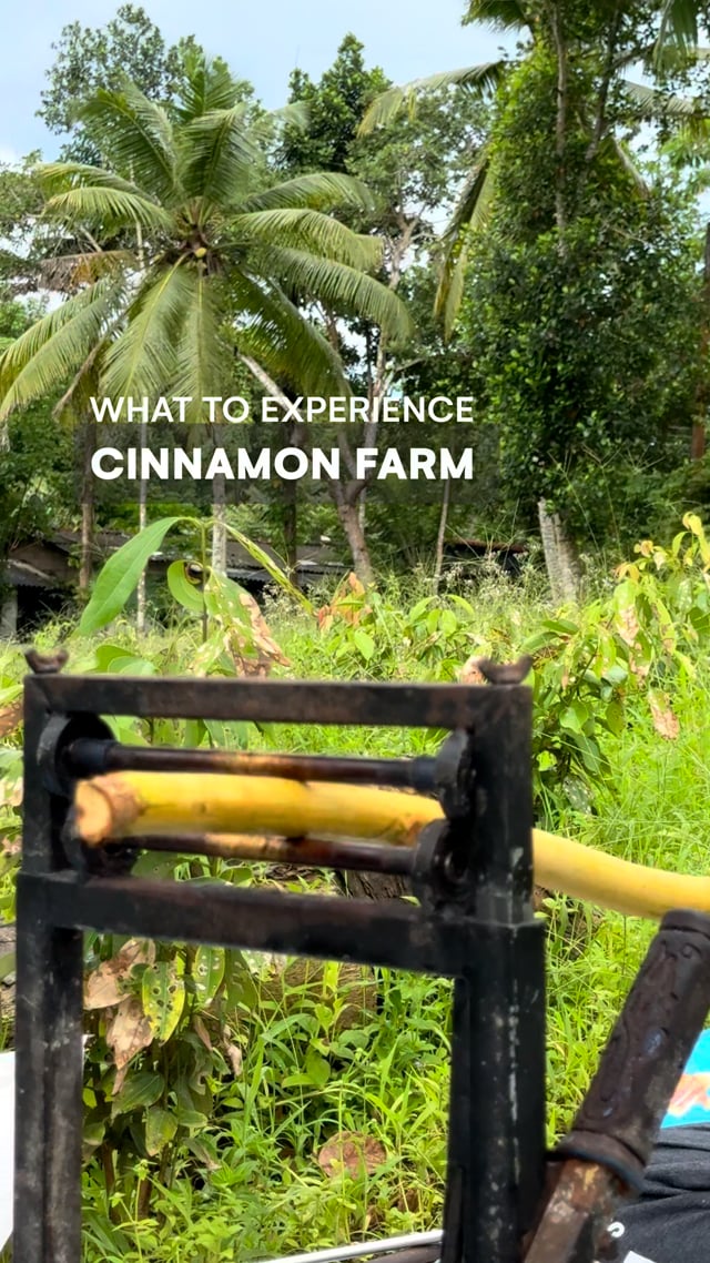 Cinnamon Farm