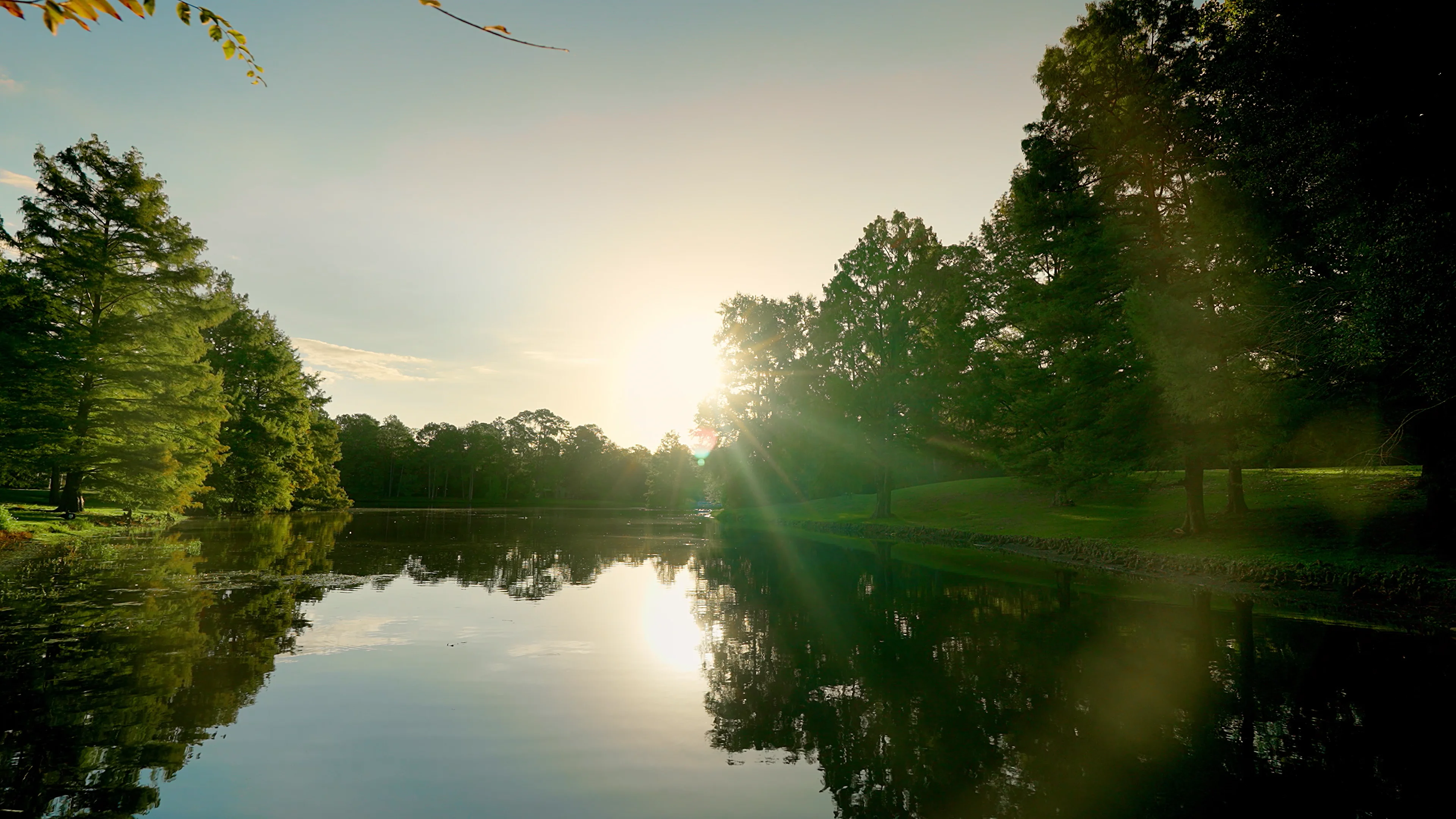 About - The Ritz-Carlton Residences, The Woodlands | Official Site