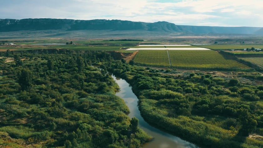 Olympic Fruit and Vegetable Exploring the Origins and Benefits