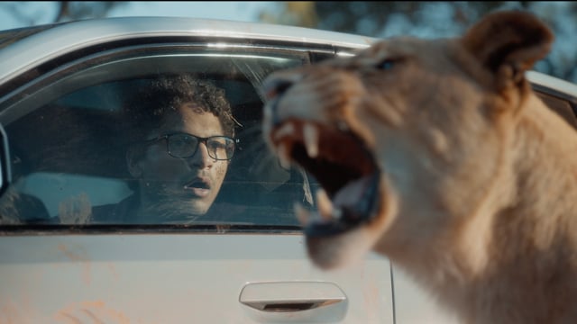 BMW - Animal Park