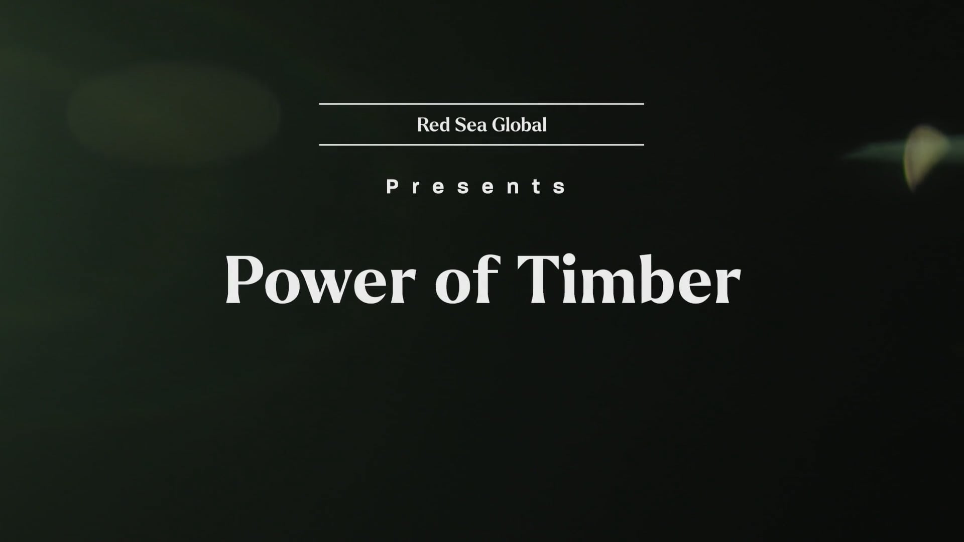 5669P RSG Blumer Lehmann Master 16x9 Alt End